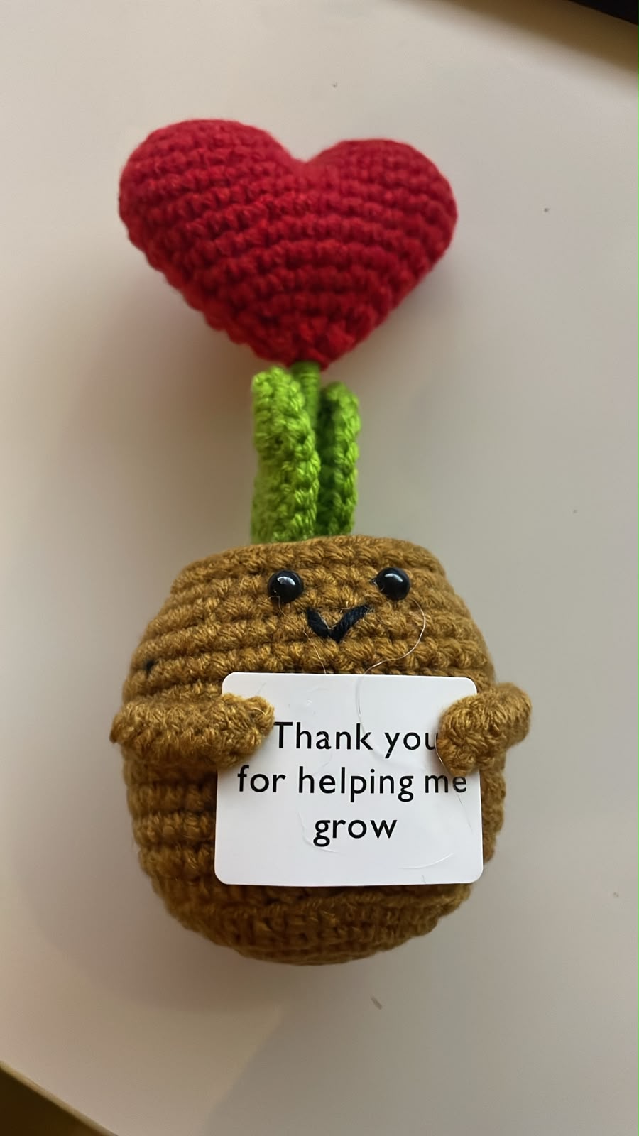 Positive Emotional Support Plant